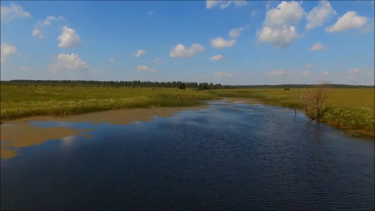 Нежитино.mp4_snapshot_01.54_[2024.07.14_20.00.12].jpg